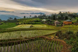 25 foto's die bewijzen dat je naar Vietnam moet