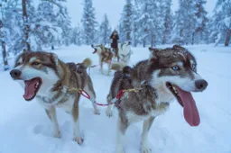 5 originele activiteiten om je verblijf in Finland onvergetelijk te maken