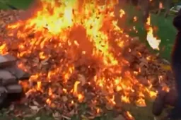 Stelletje idioten laten een berg bladeren exploderen met benzine