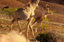 David Attenborough is terug met Planet Earth II en het is magisch als vanouds