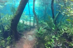Onderwaterstad Atlantis is te vinden in Brazilië