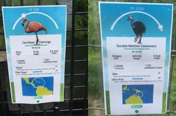 Dierentuin speelt op briljante wijze in op de Pokémon GO hype