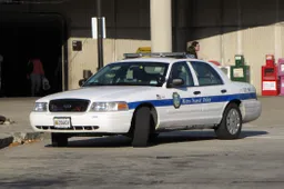 Koppel heeft sex op de achterbank van een politie auto terwijl de agent ernaast staat