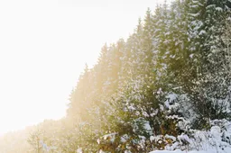 Op deze locaties in de Ardennen kan jij je Instagram feed een dikke upgrade geven