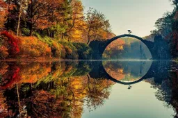 De 15 meest spectaculaire actiefoto’s van dit jaar