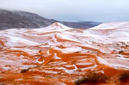 Voor het eerst in 37 jaar ligt er sneeuw in de Sahara