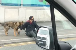 Gemaskerde man bewapend met kruisboog en mes voelt niks van politiehond die zijn arm verscheurd