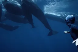 One breath around the world is een adembenemende freedive serie