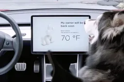Tesla introduceert 'Dog Mode' voor echte dierenvrienden