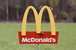 McHive is de kleinste McDonalds ter wereld speciaal voor bijen