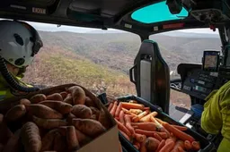 New South Wales dropt 2200 kilo aan wortels om de gevluchte dieren te helpen