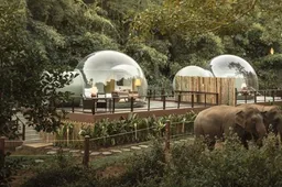 In Thailand kun je pitten in doorzichtige 'Jungle-Bubbels' omringd door olifanten
