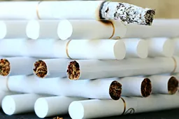 Onderzoek: longen herstellen veel beter dan gedacht na stoppen met roken