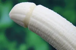 Een micropenis: wat is dat, wanneer heb je er een en wat kan je er tegen doen?