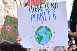 De 5 meest bizarre acties van klimaatactivisten in het afgelopen jaar