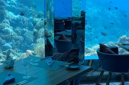 Dineren omringd door de helderblauwe onderwaterwereld van de Malediven