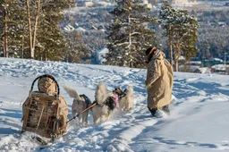 15 foto's in Siberië die je laten zien dat -40 graden Celsius bizar koud en mooi is