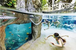 5 vakantieparken in Nederland met subtropisch zwembad waar jij wil vertoeven