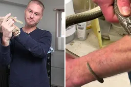 Mafkees laat zich bijten door de meest giftige slangen om te bewijzen dat zijn vaccin echt werkt