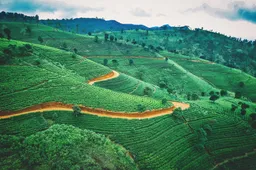 25 foto’s die bewijzen dat je naar Sri Lanka moet