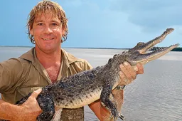 Een ode aan de legendarische Crocodile Hunter Steve Irwin