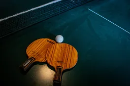 Upgrade je gameroom met deze vet luxe pingpong tafel