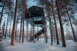 Deze boomhut met 7 kamers is het droomhuis van elk klein jongetje