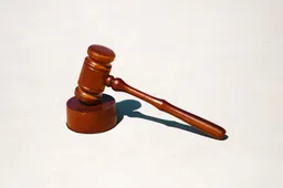 Zoon wint rechtszaak nadat moeder z'n pornobladen weggooide