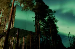 Slapen in een UFO, vogelnest of reusachtige spiegel in treehotel Zweden