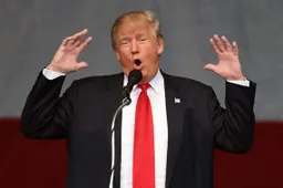 Bouwvakker sloopt Hollywoodster van Donald Trump