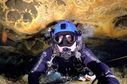 Als je claustrofobie hebt dan is deze duikvideo van Jonathan Bird niks voor jou