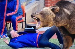Het internet gaat los op de briljante schwalbe van Louis van Gaal