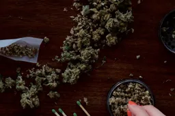 Thailand is op zoek naar de allersnelste jointjes-draaier in de Cannabis Cup