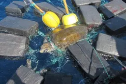 U.S. Coast Guard vindt schildpad in zee dobberen met ruim 800 kg cocaïne aan boord
