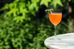 3 heerlijke zomercocktails met whiskey en bourbon die jij moet proberen