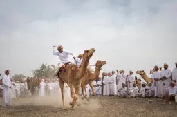 25 foto's die bewijzen dat je naar Oman moet