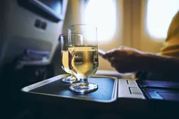 De schrikbarende effecten van alcohol drinken in het vliegtuig