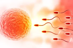 Hoe gezond is ons sperma nog op onze oude dag?