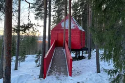 Een spectaculaire nacht tussen de bomen in het Tree hotel in Zweeds Lapland