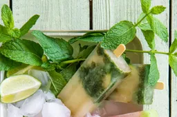 Met deze mojito ijsjes word je lekker verkoeld en tegelijk ook tipsy