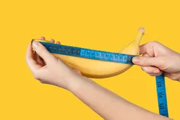 Publiekelijk zichtbaar lichaamsdeel dat verband houdt met de grootte van de penis