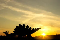 Stegosaurus skelet verkocht voor duizelingwekkend bedrag