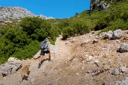 Dit is hoelang je erover zou doen als je een rondje om de wereld zou lopen