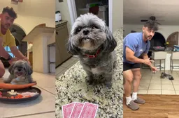 Deze guy is de trotse eigenaar van het chagrijnigste hondje ter wereld