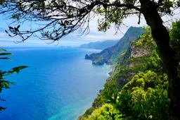 De hype rondom Madeira is real: groene droombestemming met fantastische uitzichten