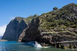 25 foto’s die bewijzen waarom je naar Madeira moet