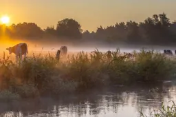 Dit is waar de meest gelukkige mensen in Nederland wonen en waarom