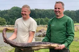 Natuurgids denkt mythisch monster te vinden, maar stuit op 'keiharde' verrassing