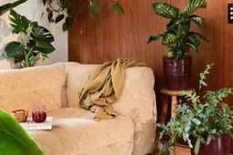 Van huis naar thuis: hoe kamerplanten millennials helpen ontspannen