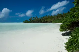 Palmyra Island is het spookeiland van €28 miljoen waar niemand wil wonen